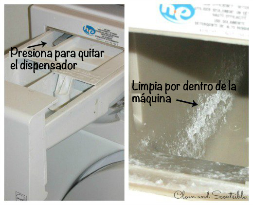 Si la ropa sale con mal olor de la lavadora, aprende a evitarlo con