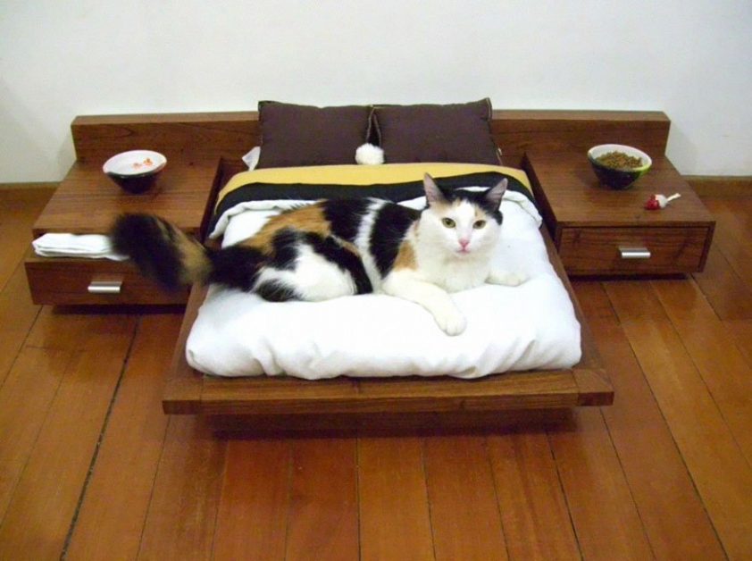 No puedes perderte estos 25 muebles diseñados para gatitos