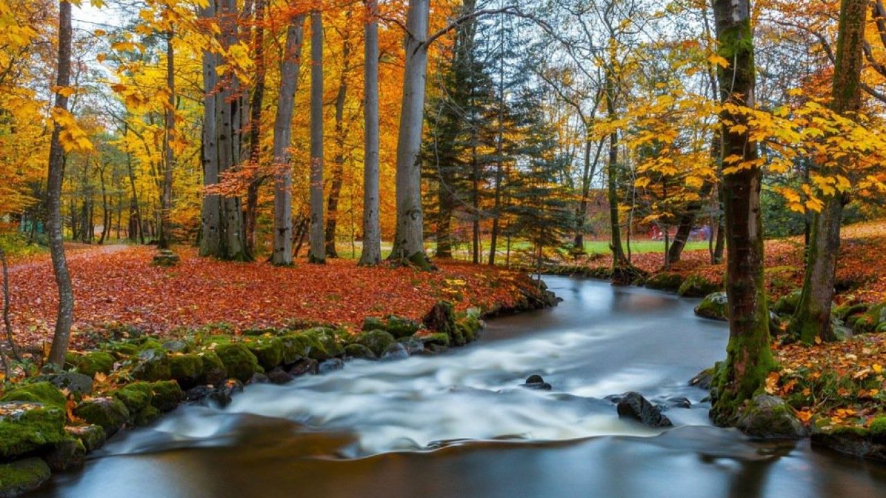 Pera Cabaña Pequeño 27 preciosos destinos del mundo especiales para ir en otoño