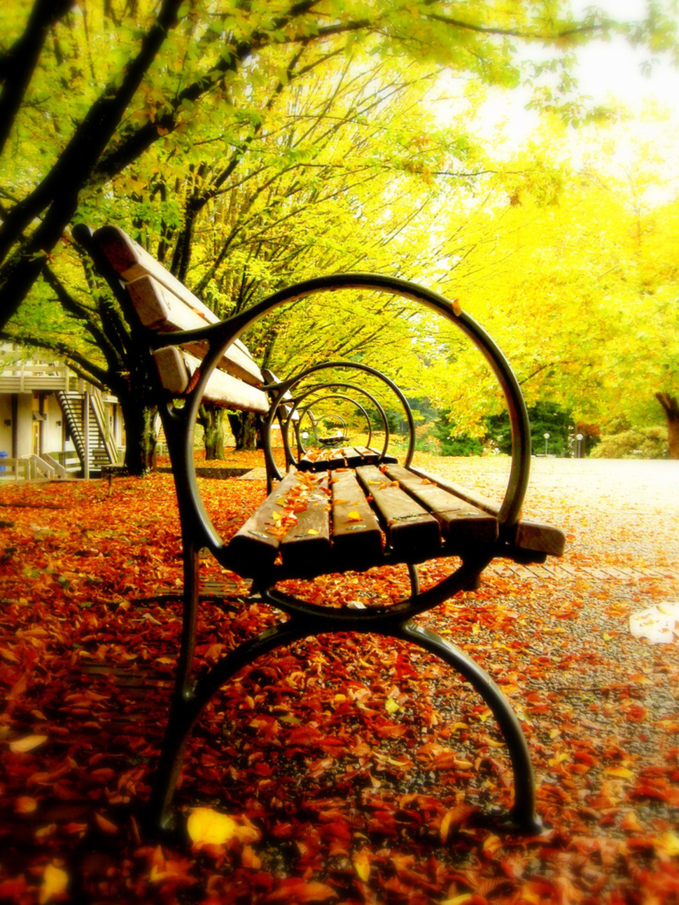 Pera Cabaña Pequeño 27 preciosos destinos del mundo especiales para ir en otoño