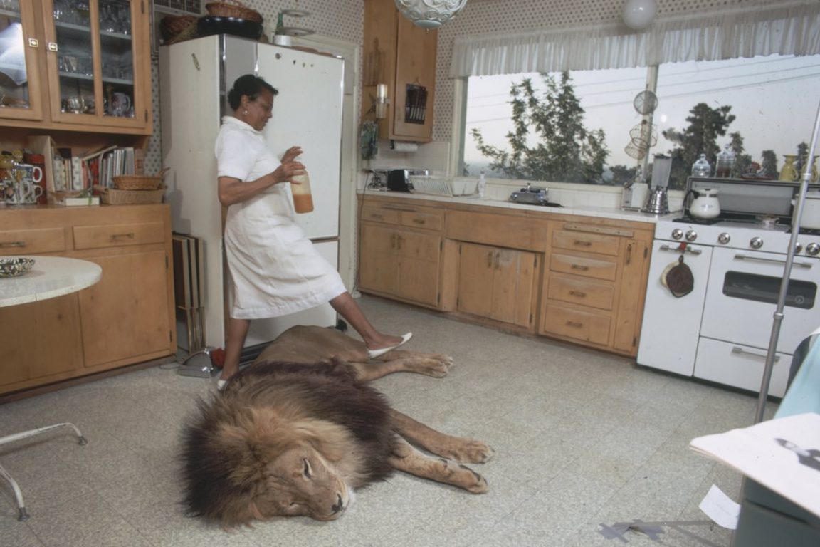 Esta familia te muestra foto a foto cómo es vivir con un león en casa