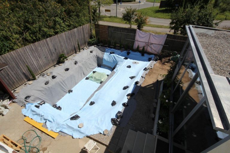Construye una piscina natural en su jardín y nos enseña su genial resultado