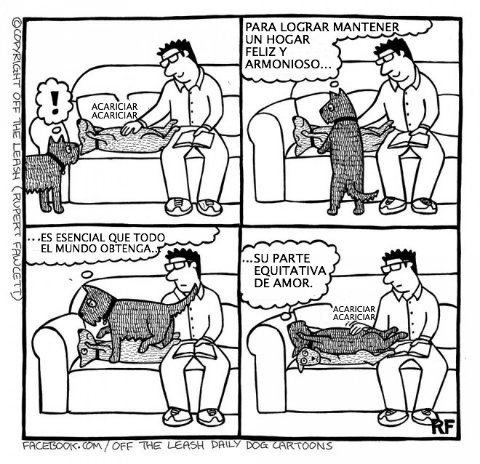 logica de perros 6
