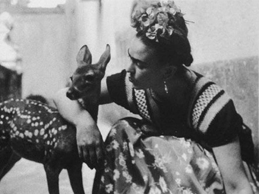 Resultado de imagen para mascotas de frida kahlo