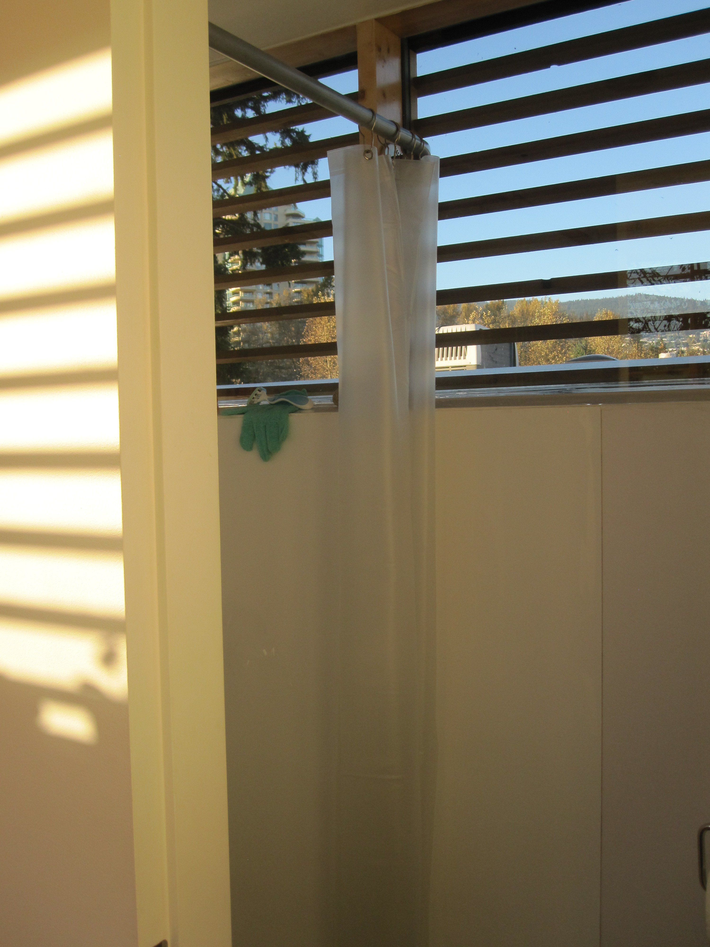 Microcasita vancouver 29