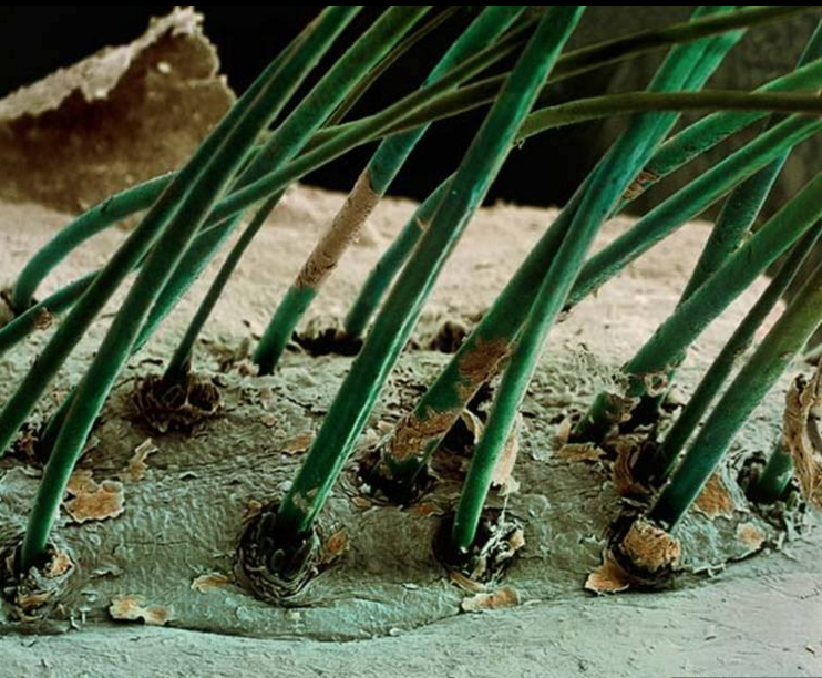 Captura de pantalla 2015-12-17 a las 16.46.15