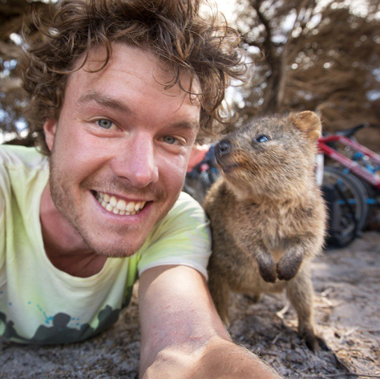 selfies con animales 20