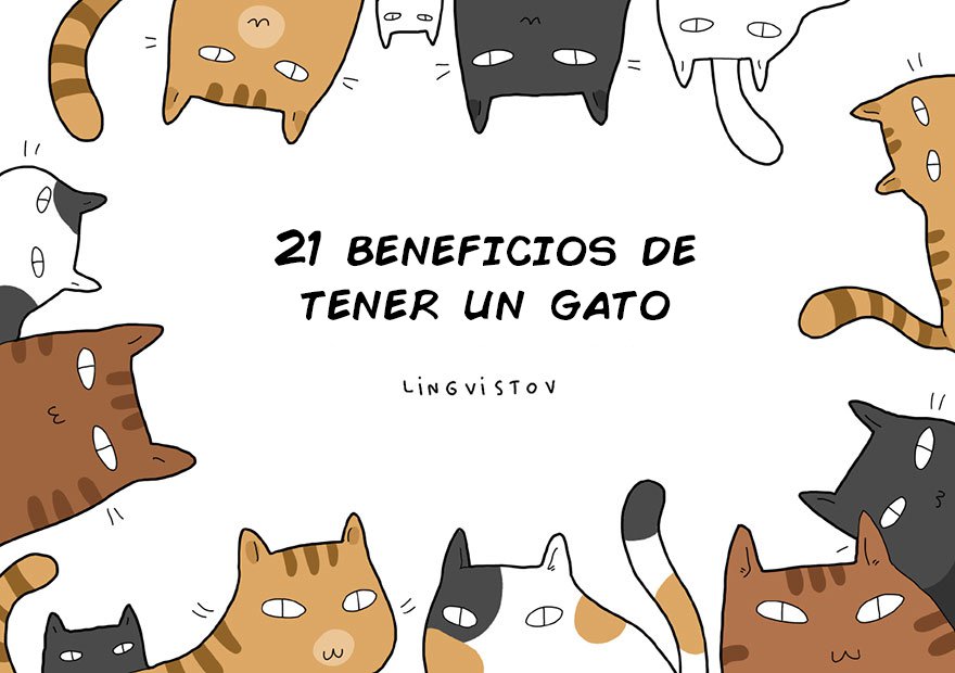 21 beneficios de tener gato 2