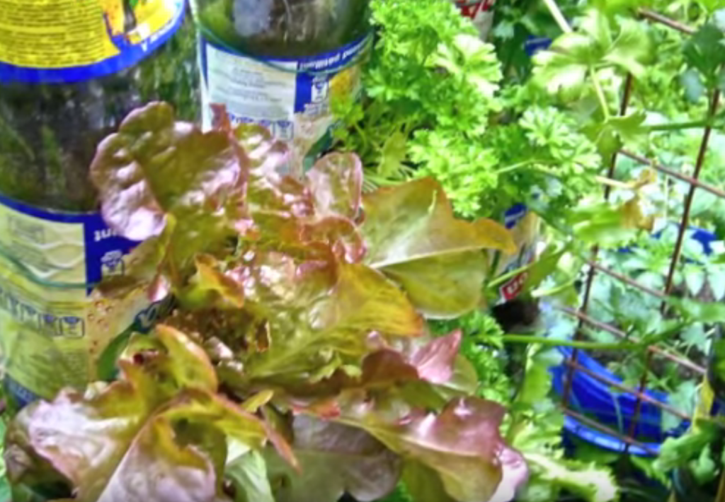 Agrupa unas cuantas botellas de plástico y les echa tierra. Después de