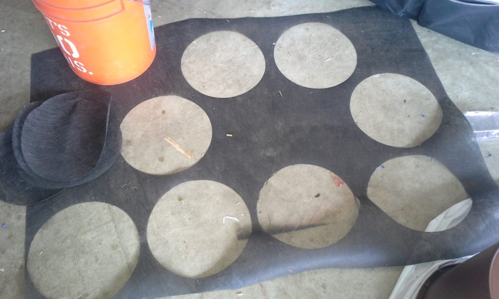 Cómo cultivar tomates en tu propia casa de manera fácil y económica