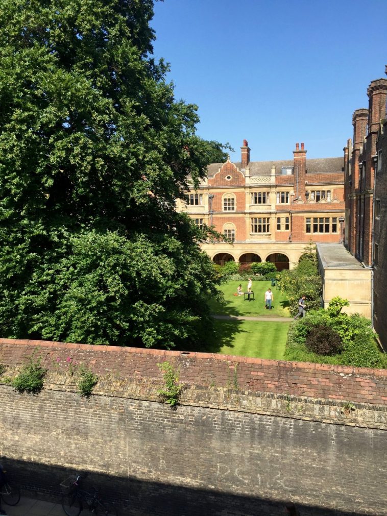 Así es un día en la vida de un estudiante de la Universidad de