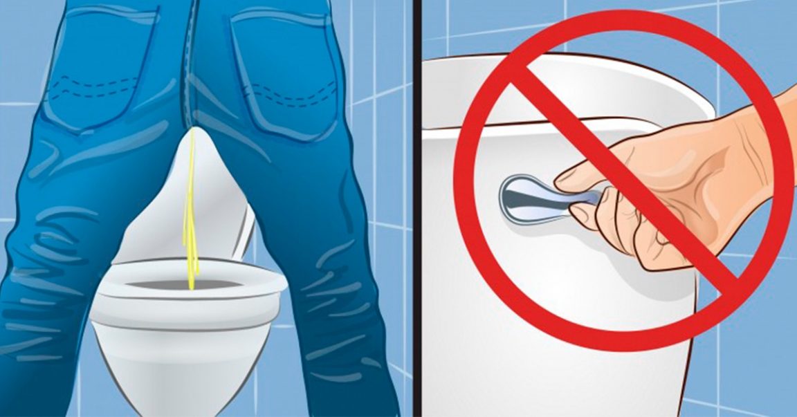 5 razones por las que no deberías tirar de la cadena después de hacer pis