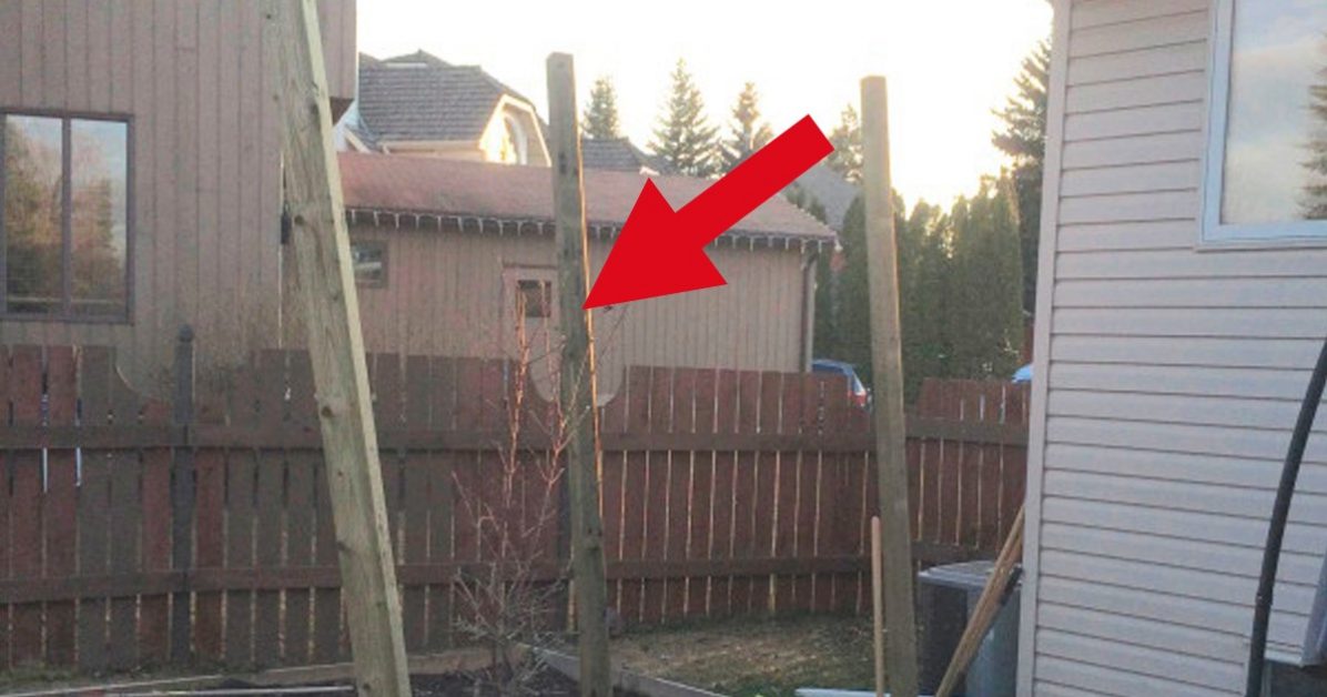 ¿No tienes intimidad en tu patio? A esta joven se le ocurrió una