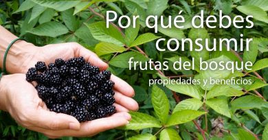 frutas del bosque