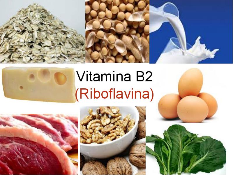 alimentos con vitamina b
