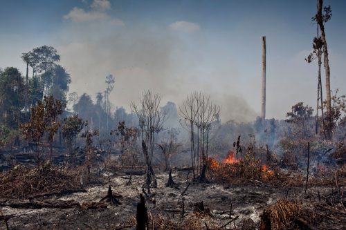 Greenpeace contra el uso del fuego para despejar la selva