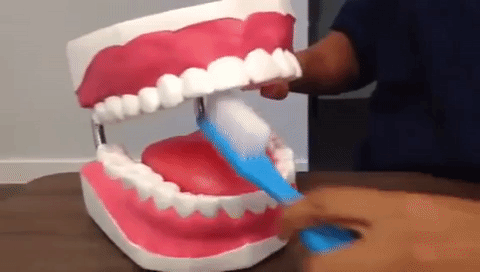 boca dentista