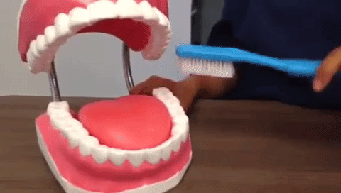 como cepillarse los dientes
