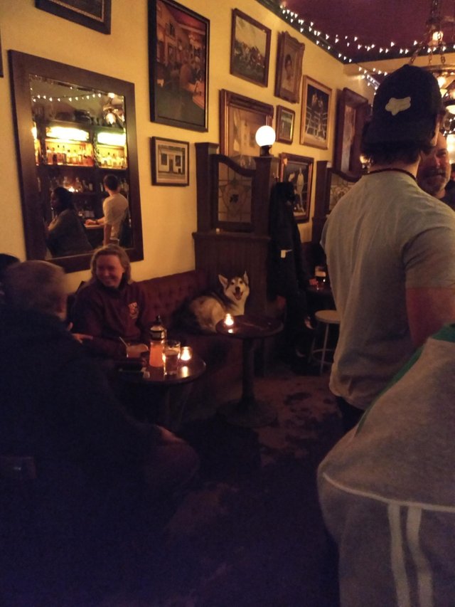 Perro en una sala llena de gente