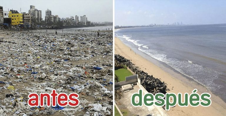 Las mejores fotografías del #Trashtag: limpiar un sitio de basura y ...