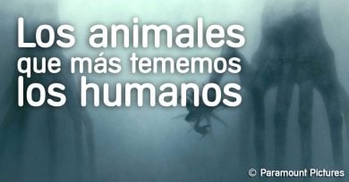 animales