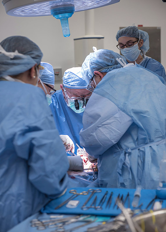 cirujía transplante útero cirujanos