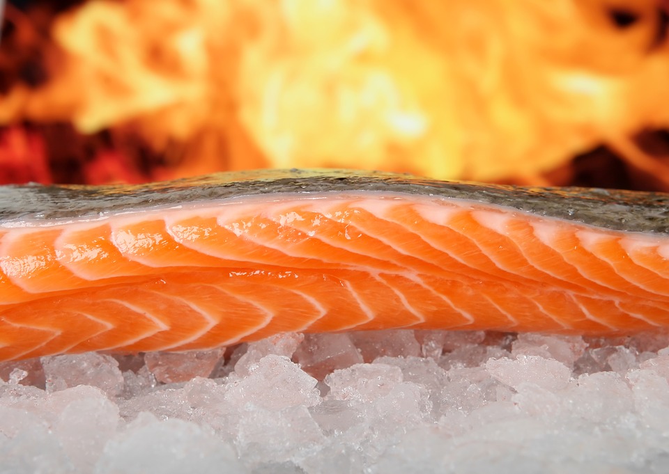 salmon alimento pescado