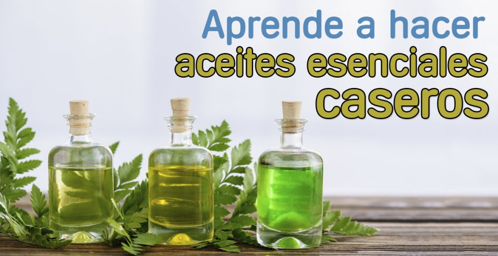 Cómo Hacer Tus Propios Aceites Esenciales Caseros A Partir De Plantas