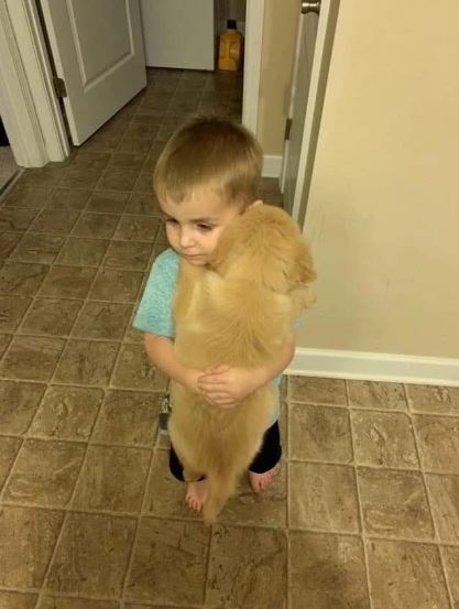 niño con perro