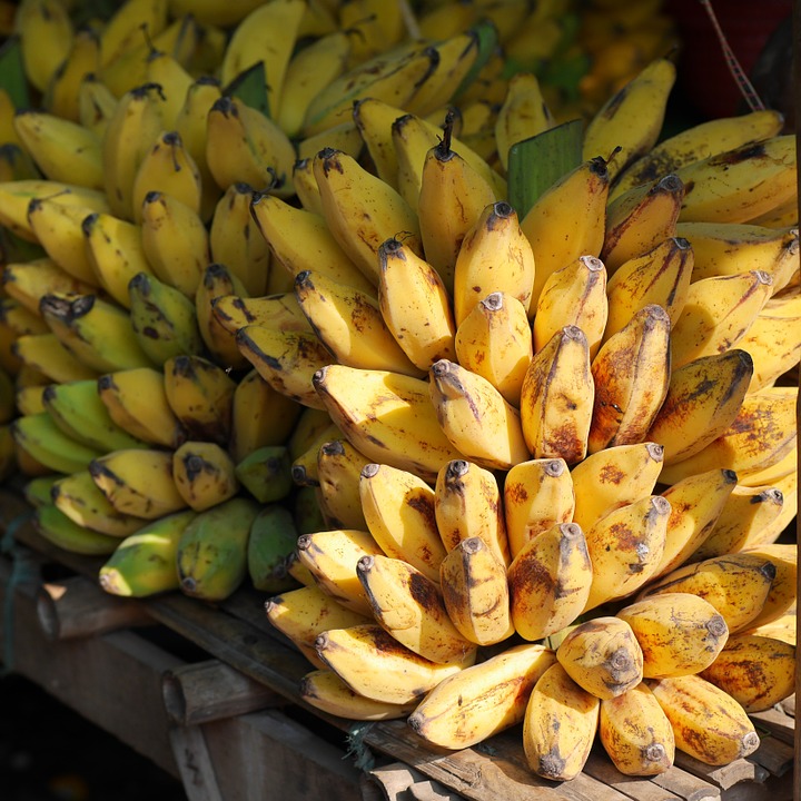 plátanos bananas frutas 
