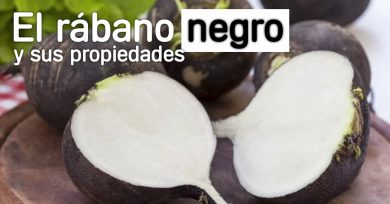 rabano negro