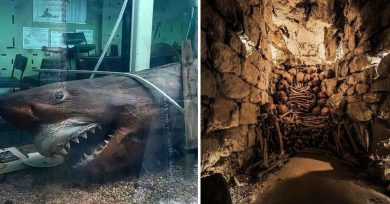 exploradores-urbanos