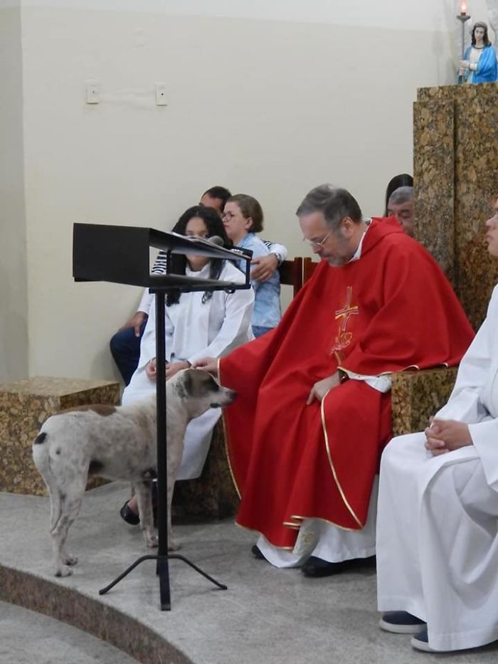 sermón padre misa perro cariño caricias oficio iglesia