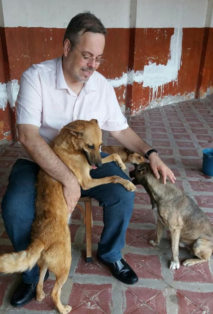 perros hombre cura cuidados callejeros cariño
