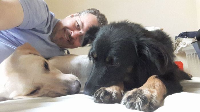 perros cama cura hombre padre callejeros cuidado cobijo