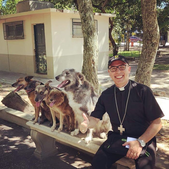 perros felicidad padre iglesia cristiano animales callejeros