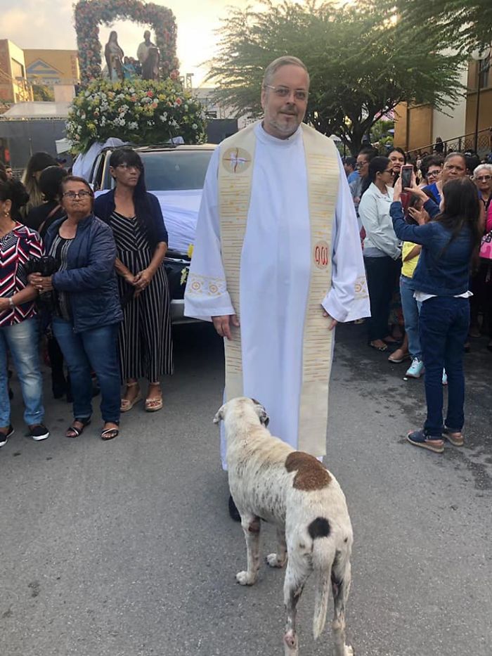 procesión calle cristianos padre perro callejero multitud