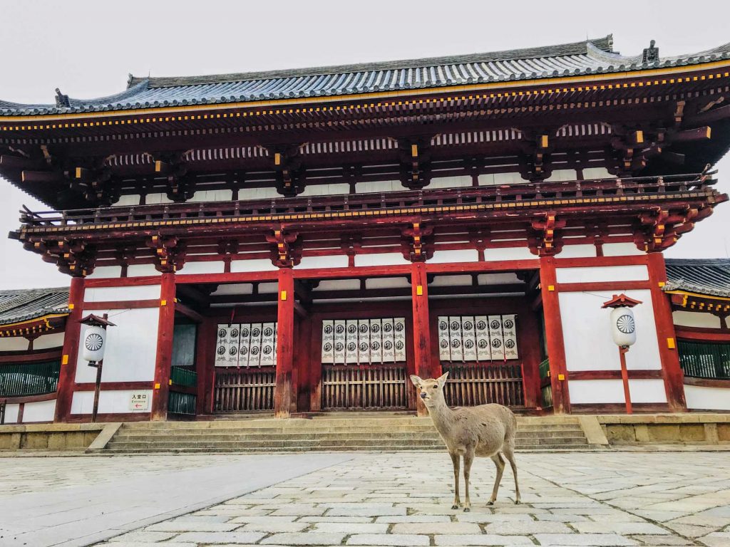 ciervo frente a edificio japonés