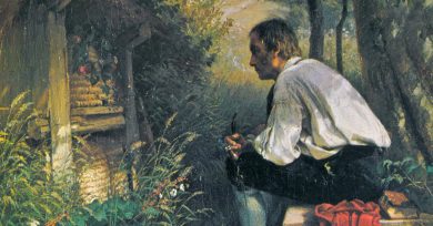 contarle-cosas-abejas