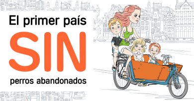 perros-abandonados