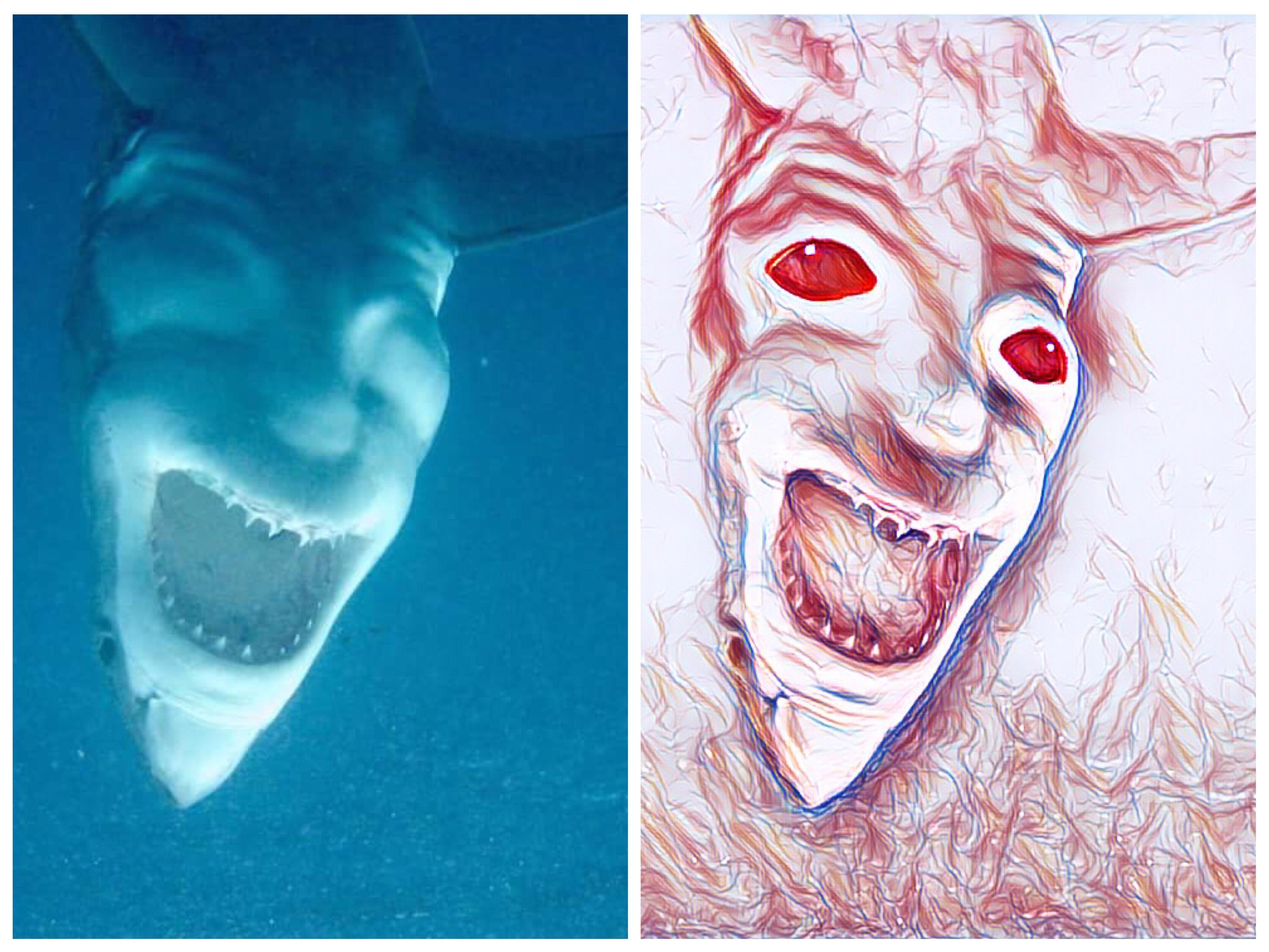 tiburón-blanco-demonio-marino