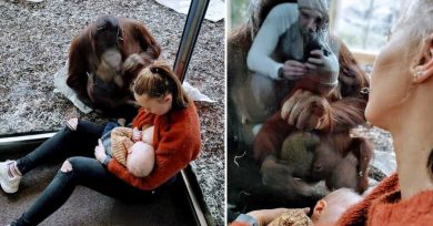 mujer-embarazada-zoo