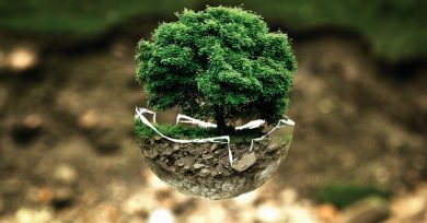 sobres y embalajes ecologicos