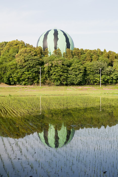 ¿Una sandía gigante? Esto es lo que hacen los japoneses con los tanques