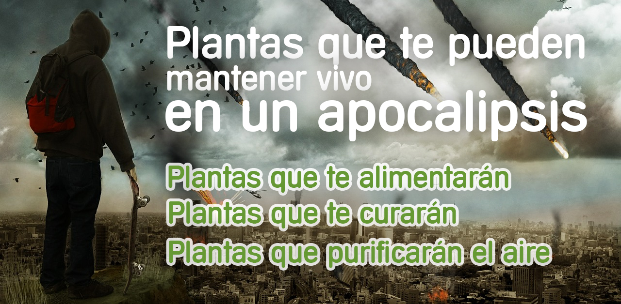 plantas-apocalipsis