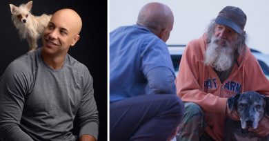 veterinario-perros-callejeros