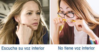 voz-interior