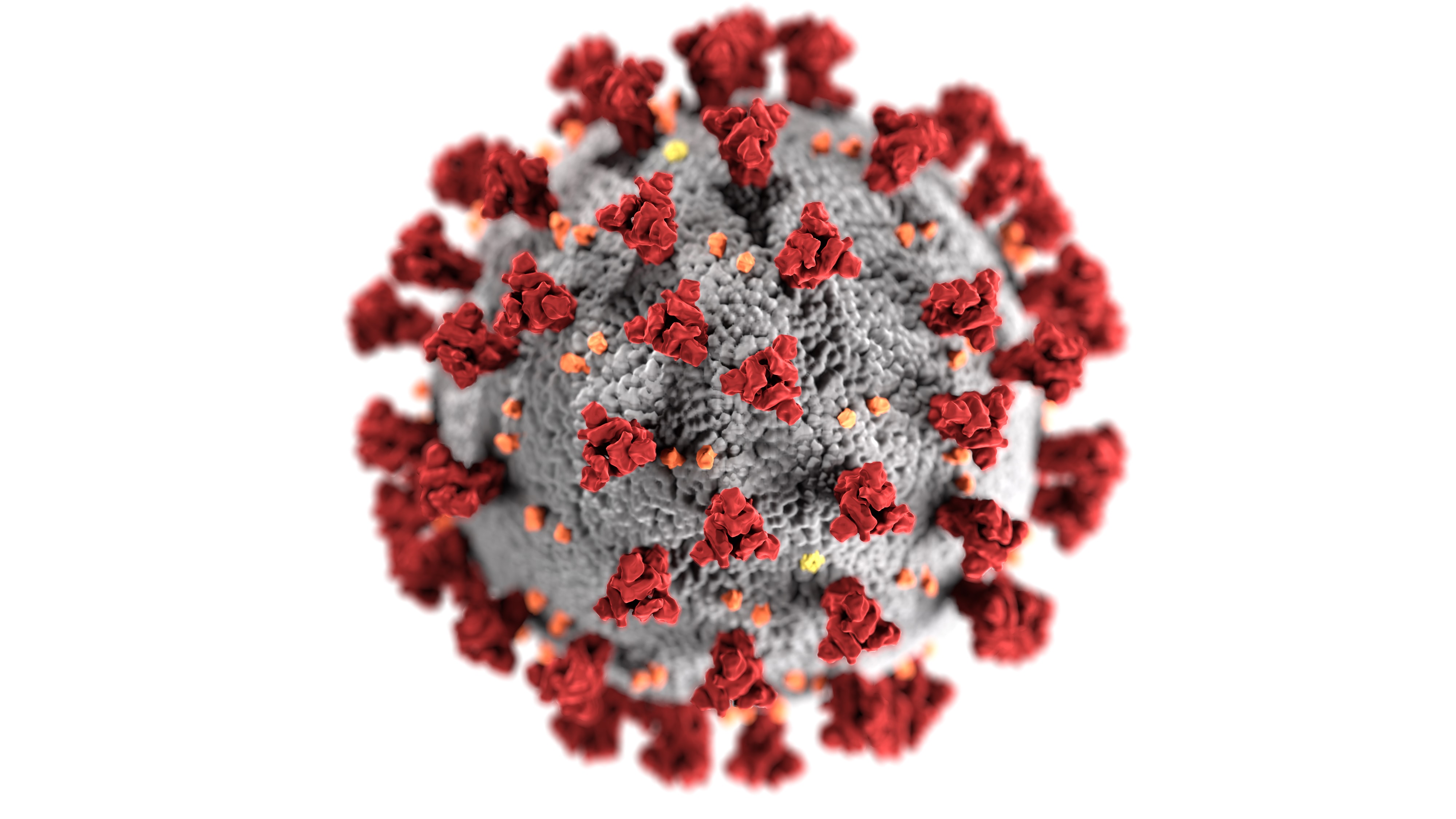 coronavirus estados unidos china vacuna