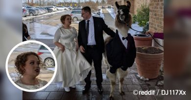 hermano-boda-hermana-llama
