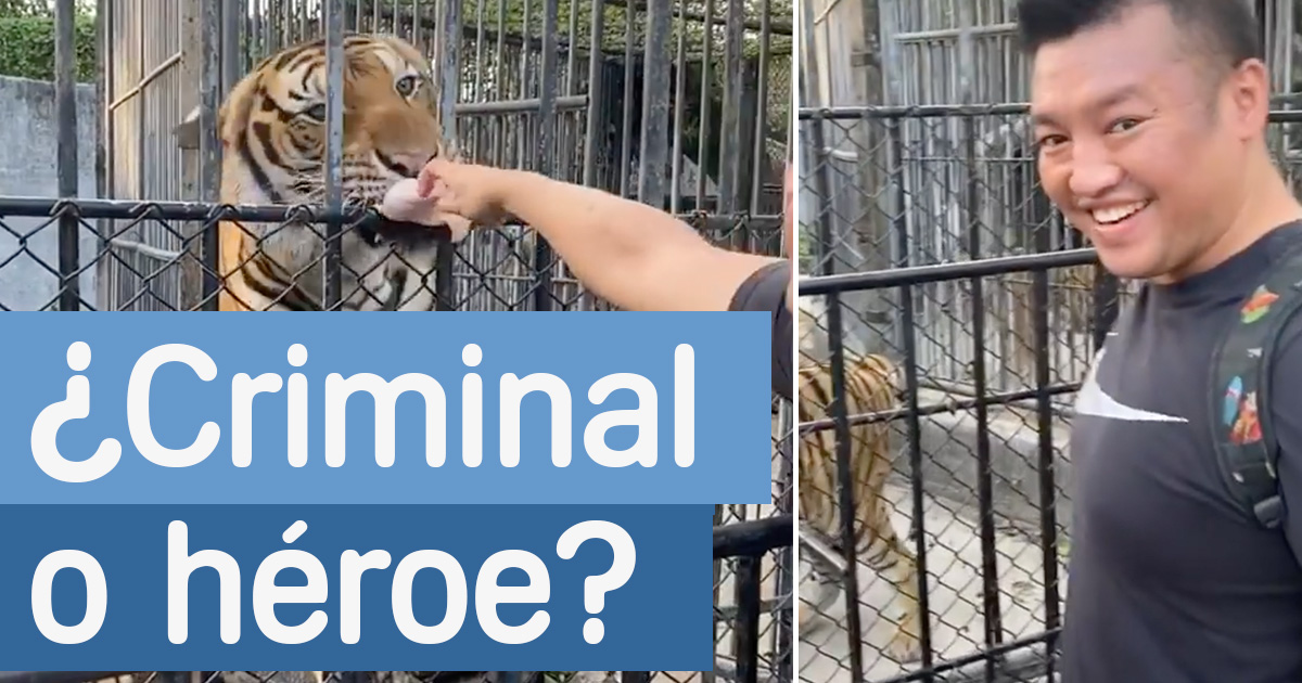 zoo-ilegal